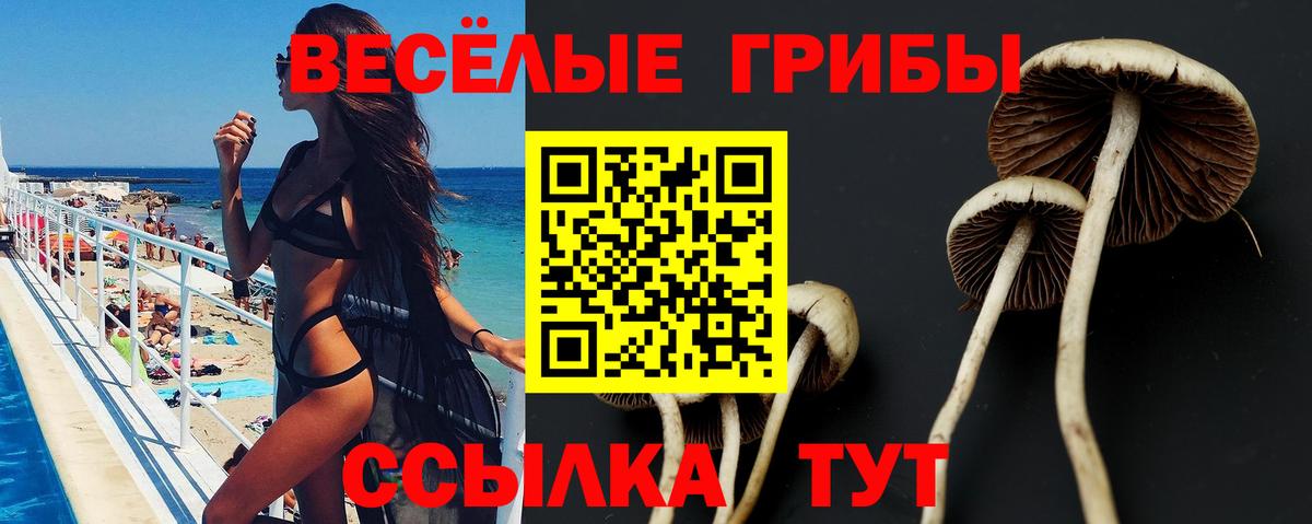 Псилоцибиновые грибы мицелий  Вход с VPN  Всеволожск 