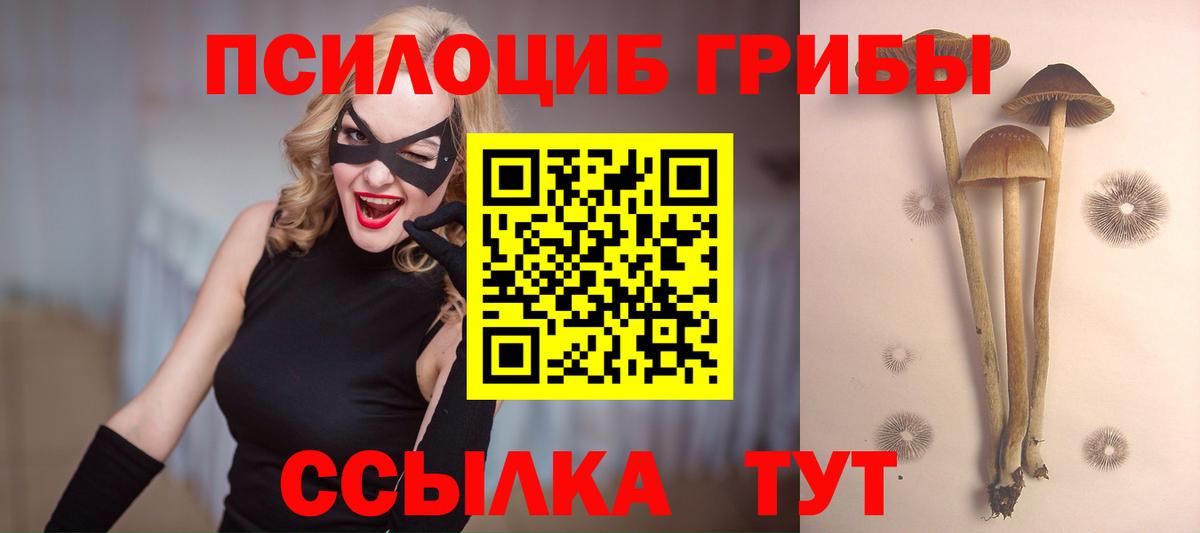Галлюциногенные грибы мухоморы Всеволожск